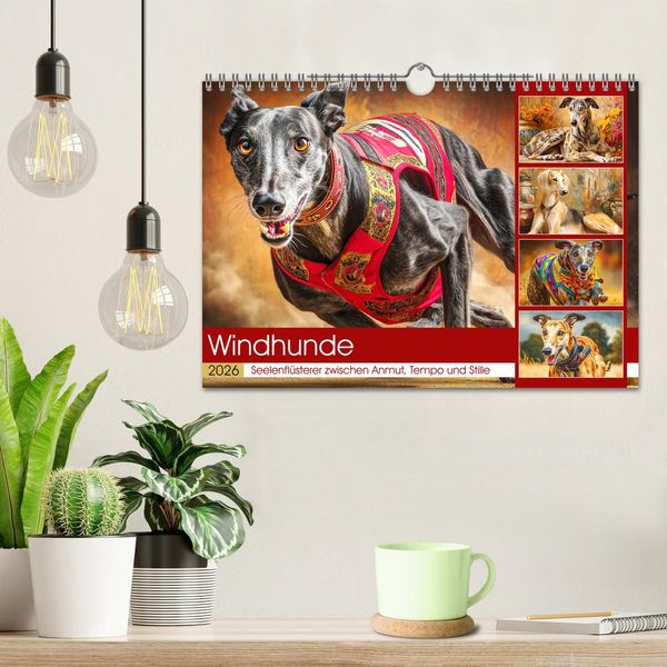 Produktbild: Windhunde. Seelenfl&uuml;sterer zwischen Anmut, Tempo und Stille (Wandkalender 2026 DIN A4 quer), CALVENDO Monatskalender