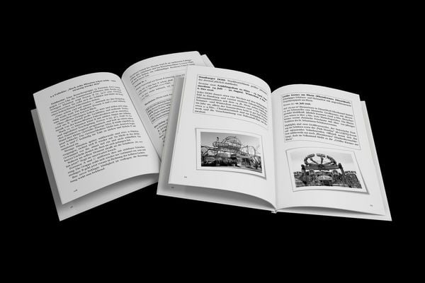 Produktbild: Die geregelte Erholung, Band 2: Die Ausnahmezone Volksfest
