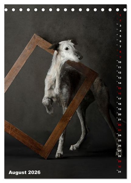 Produktbild: dogmuse deluxe (Tischkalender 2026 DIN A5 hoch), CALVENDO Monatskalender