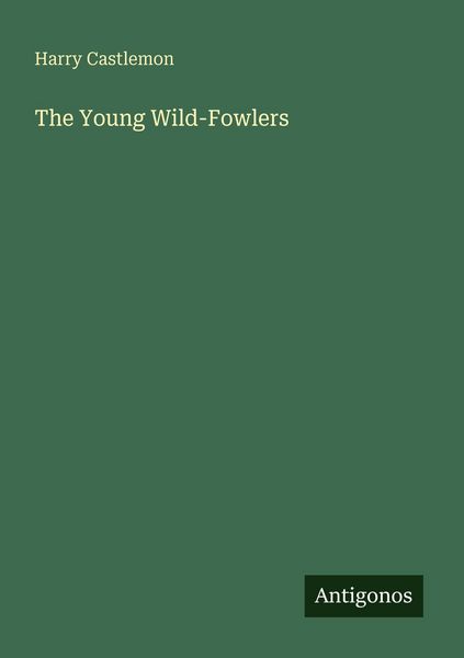 Produktbild: The Young Wild-Fowlers