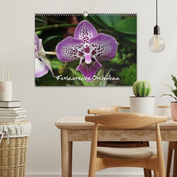 Produktbild: Farbenreiche Orchideen (Wandkalender 2026 DIN A3 quer), CALVENDO Monatskalender