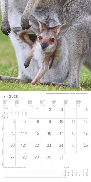 Produktbild: Tierbabys 2026 - Broschürenkalender 30x30 cm (30x60 geöffnet) - Kalender mit Platz für Notizen - Baby Animals - Bildkalender - Wandplaner - Alpha Edit
