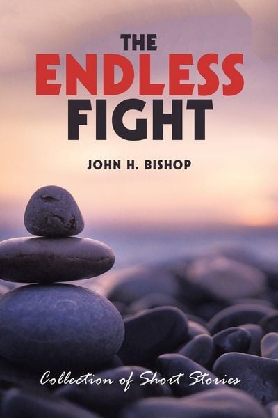 Produktbild: The Endless Fight