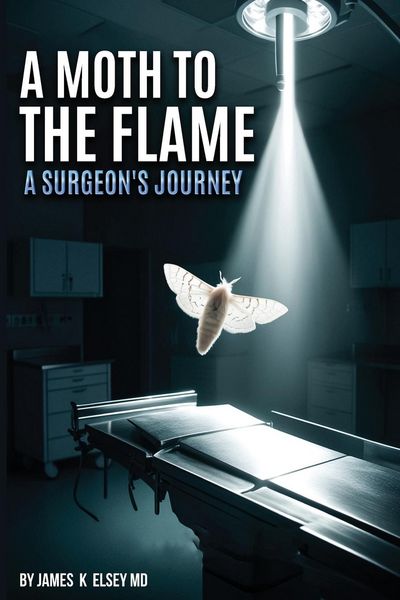 Produktbild: A Moth to the Flame