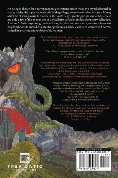 Produktbild: Constellations of Ruin