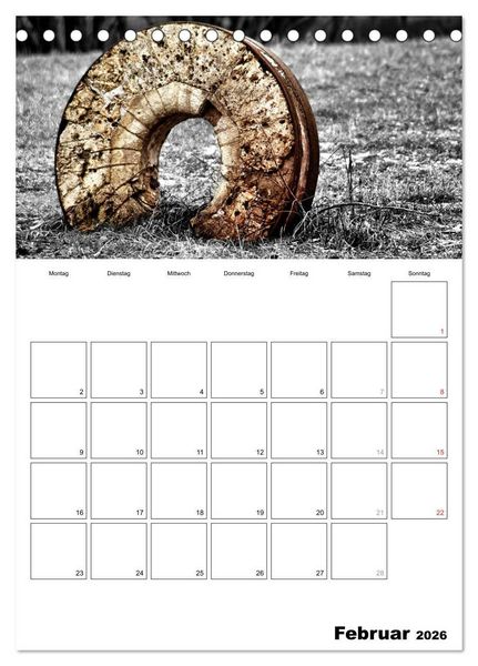 Produktbild: schwarz/wei&szlig; trifft farbe - DEIN TERMINKALENDER / Planer (Tischkalender 2026 DIN A5 hoch), CALVENDO Monatskalender