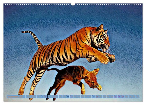 Produktbild: Rhodesian Ridgeback der Hund mit dem Tropfen L&ouml;wenblut (Wandkalender 2026 DIN A2 quer), CALVENDO Monatskalender