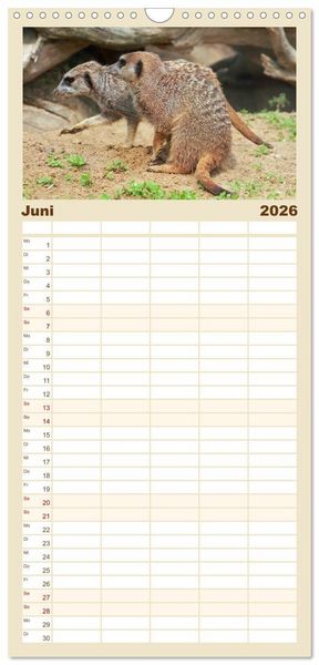 Produktbild: Familienplaner 2026 - Erdm&auml;nnchen mit 5 Spalten (Wandkalender, 21 x 45 cm) CALVENDO