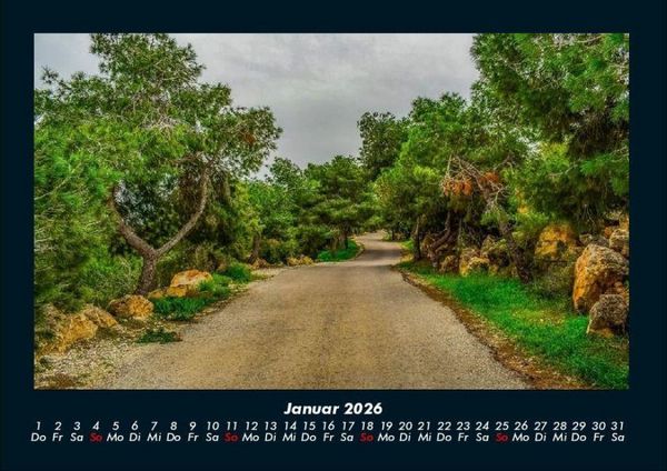 Produktbild: B&auml;ume 2026 Fotokalender DIN A4