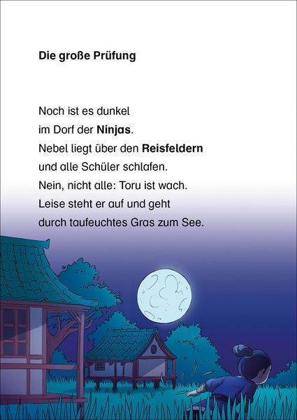 Produktbild: Lesel&ouml;wen 2. Klasse - Die gro&szlig;e Ninja-Pr&uuml;fung