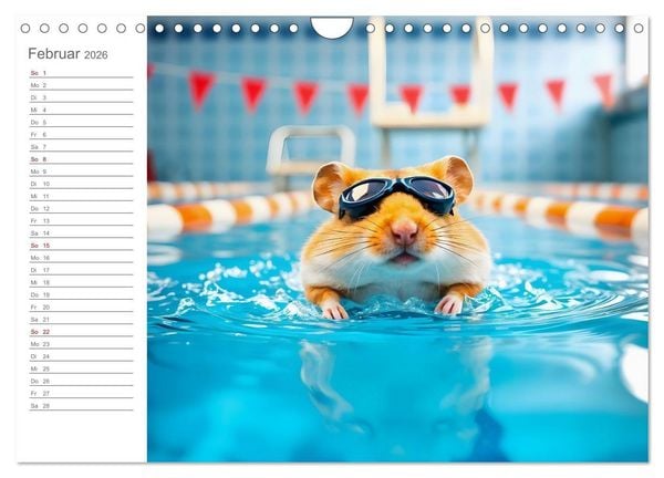Produktbild: Hamster Olympiade - Der flauschigste Wettkampf des Jahres (Wandkalender 2026 DIN A4 quer), CALVENDO Monatskalender