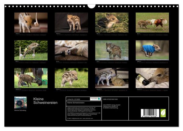 Produktbild: Kleine Schweinereien (Wandkalender 2026 DIN A3 quer), CALVENDO Monatskalender