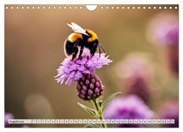 Produktbild: Filigrane Insekten (Wandkalender 2026 DIN A4 quer), CALVENDO Monatskalender
