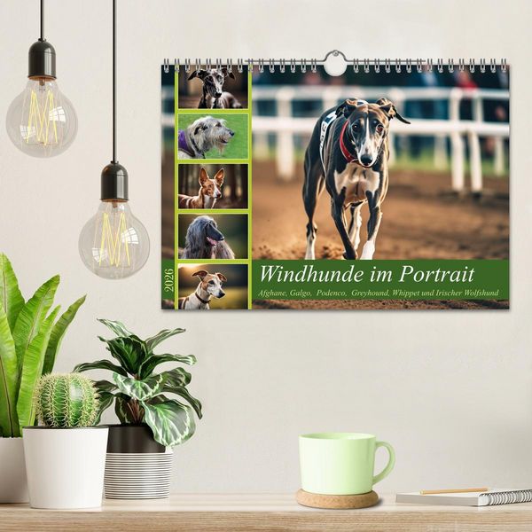 Produktbild: Windhunde im Portrait (Wandkalender 2026 DIN A4 quer), CALVENDO Monatskalender