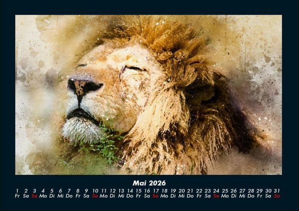 Produktbild: Kunstkalender 2026 Fotokalender DIN A4