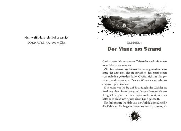 Produktbild: CLUE 1. Schiffbruch vor der Felseninsel