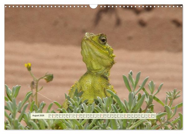 Produktbild: Reptilien des s&uuml;dlichen Afrikas (Wandkalender 2026 DIN A3 quer), CALVENDO Monatskalender