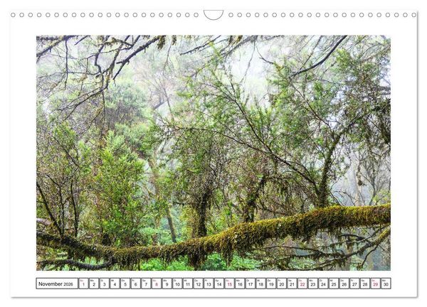 Produktbild: Insel der Sehnsucht - La Gomera (Wandkalender 2026 DIN A3 quer), CALVENDO Monatskalender