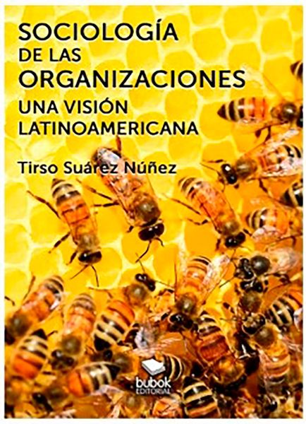 Produktbild: Sociolog&iacute;a de las organizaciones - Una visi&oacute;n latinoamericana