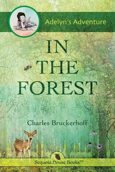 Produktbild: Adelyn's Adventure in the Forest