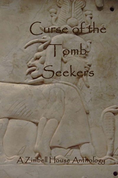 Produktbild: Curse of the Tomb Seekers