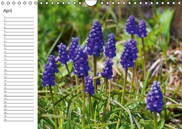 Produktbild: Ich denk an Dich ... Pers&ouml;nlicher Terminkalender (Wandkalender immerw&auml;hrend DIN A4 quer)