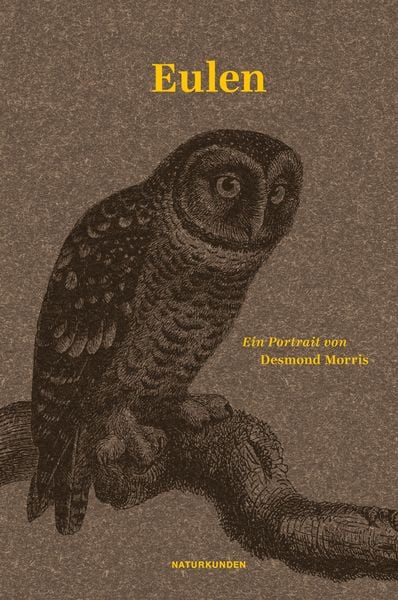 Eulen, Gebundene Ausgabe von Desmond Morris, Matthes & Seitz, 978-3-95757-088-8