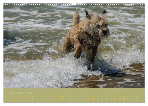 Produktbild: Cairns Forever (Wandkalender 2026 DIN A2 quer), CALVENDO Monatskalender