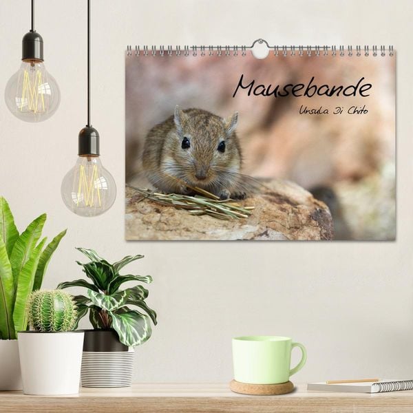 Produktbild: Mausebande (Wandkalender 2026 DIN A4 quer), CALVENDO Monatskalender