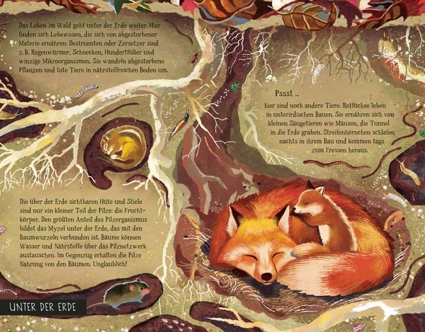 Produktbild: Von der Wurzel bis zum Wipfel