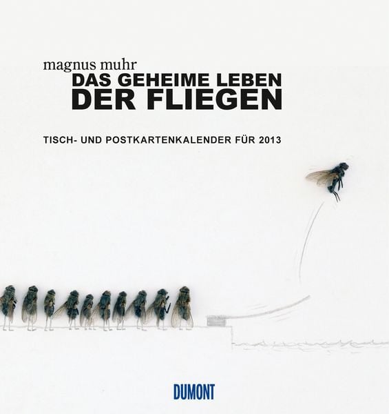 Produktbild: Das geheime Leben der Fliegen - Tisch- und  Postkartenkalender 2013