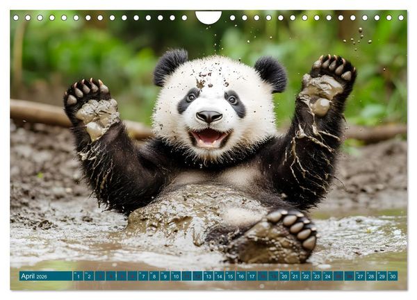 Produktbild: Plitsch, Platsch, tierisch nass (Wandkalender 2026 DIN A4 quer), CALVENDO Monatskalender
