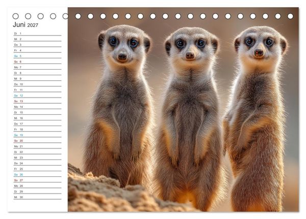 Produktbild: Die Welt der Erdm&auml;nnchen (Tischkalender 2027 DIN A5 quer), CALVENDO Monatskalender