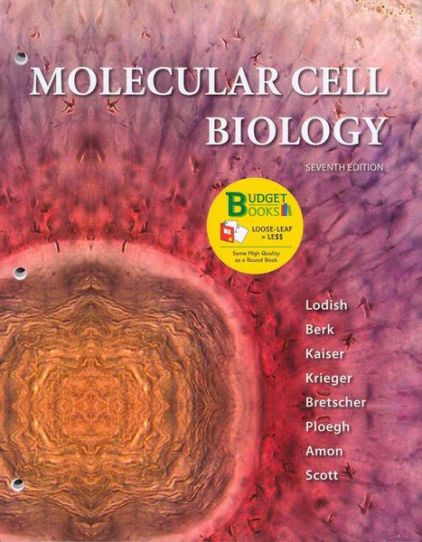 Produktbild: Molecular Cell Biology (Loose Leaf) & eBook Access Card