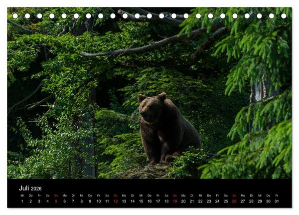 Produktbild: Bayerischer Wald (Tischkalender 2026 DIN A5 quer), CALVENDO Monatskalender