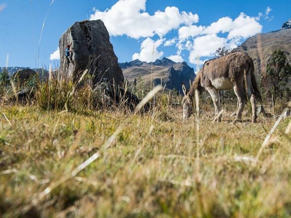 Produktbild: CALVENDO Puzzle Bouldern in der Pampa | 1000 Teile Lege-Gr&ouml;&szlig;e 64x48cm Foto-Puzzle f&uuml;r gl&uuml;ckliche Stunden