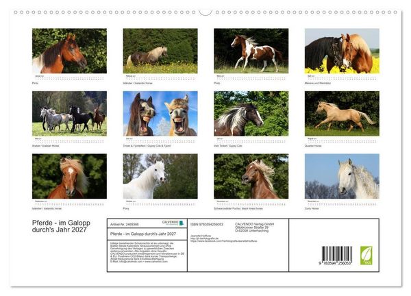 Produktbild: Pferde - im Galopp durch's Jahr 2027 (hochwertiger Premium Wandkalender 2027 DIN A2 quer), Kunstdruck in Hochglanz