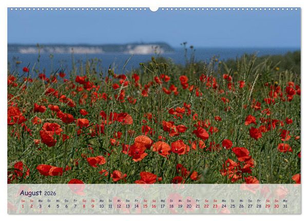 Produktbild: R&uuml;genliebe (Wandkalender 2026 DIN A2 quer), CALVENDO Monatskalender