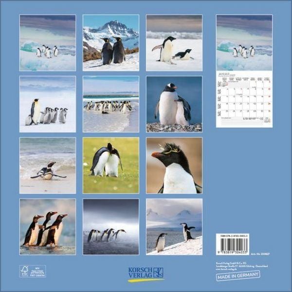 Produktbild: Pinguine 2027