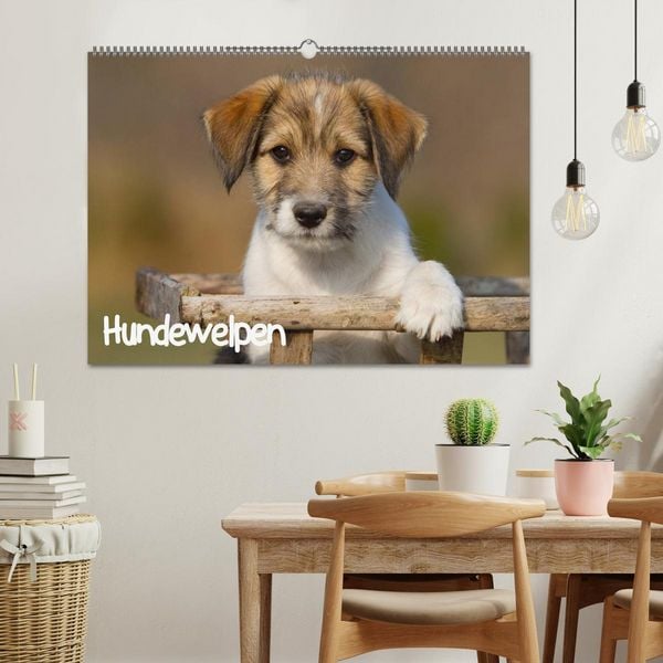 Produktbild: Hundewelpen (Wandkalender 2026 DIN A2 quer), CALVENDO Monatskalender