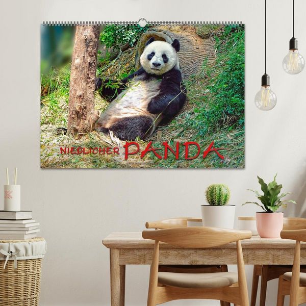 Produktbild: Niedlicher Panda (Wandkalender 2026 DIN A2 quer), CALVENDO Monatskalender
