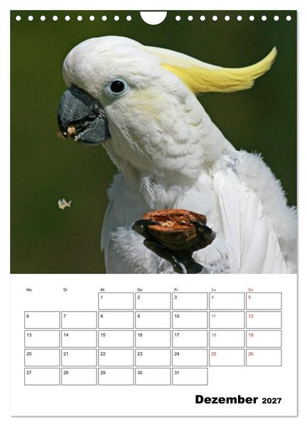 Produktbild: Papageien - Graupapagei, Rosella und Co. (Wandkalender 2027 DIN A4 hoch), CALVENDO Monatskalender