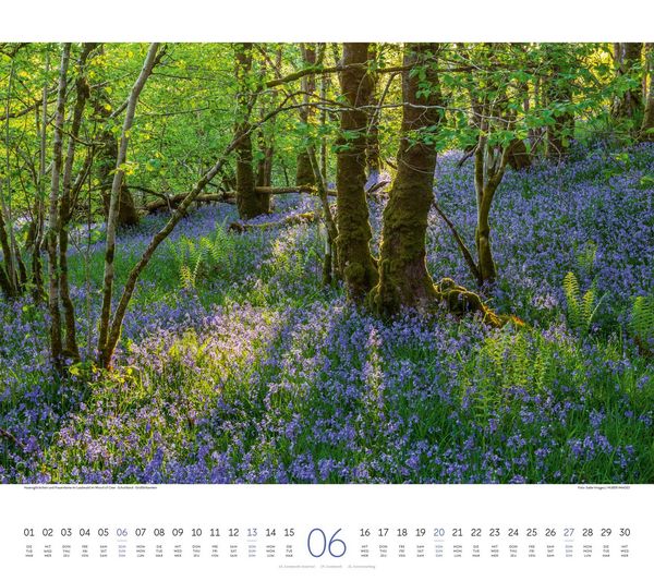 Produktbild: Wald Kalender 2027