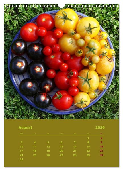Produktbild: Tomaten - Alles BIO! (Wandkalender 2026 DIN A3 hoch), CALVENDO Monatskalender