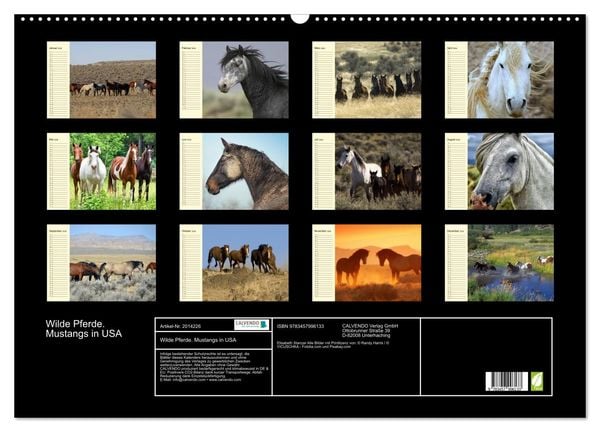 Produktbild: Wilde Pferde. Mustangs in USA (Wandkalender 2026 DIN A2 quer), CALVENDO Monatskalender