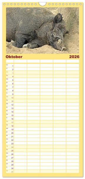 Produktbild: Familienplaner 2026 - Der Schweinekalender mit 5 Spalten (Wandkalender, 21 x 45 cm) CALVENDO