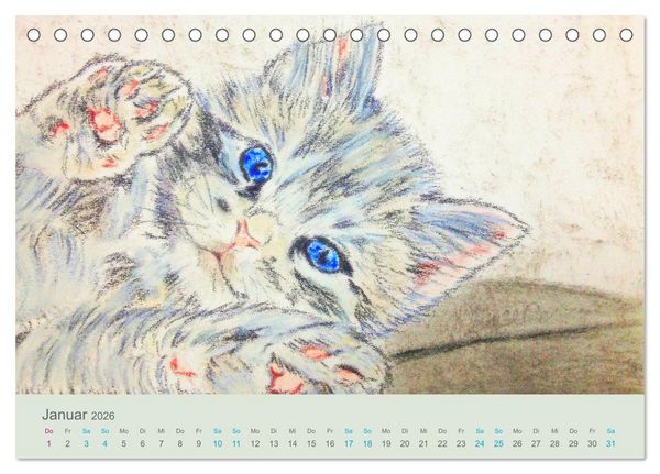 Produktbild: KATZEN PortraiTierART (Tischkalender 2026 DIN A5 quer), CALVENDO Monatskalender