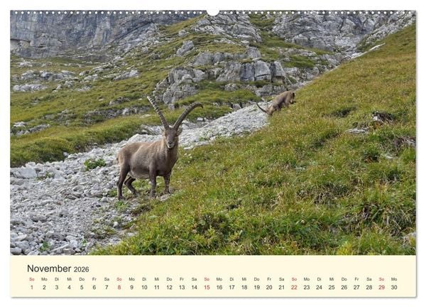 Produktbild: Wandergl&uuml;ck im Allg&auml;u (Wandkalender 2026 DIN A2 quer), CALVENDO Monatskalender