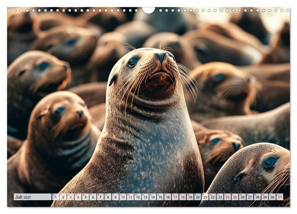 Produktbild: Faszination Robben - Zwischen Wellen und Weite (Wandkalender 2027 DIN A3 quer), CALVENDO Monatskalender