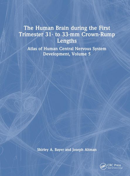 Produktbild: The Human Brain during the First Trimester 31- to 33-mm Crown-Rump Lengths
